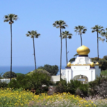 Swami's Beach