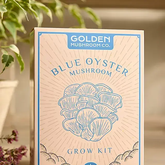 Mushroom Grow Kit