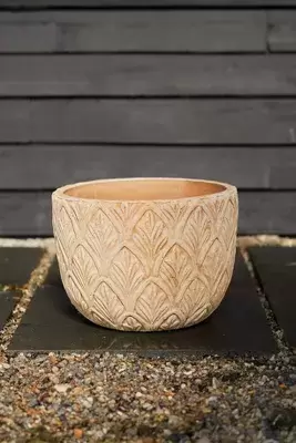 Paloma Ceramic Bowl Planter, 18