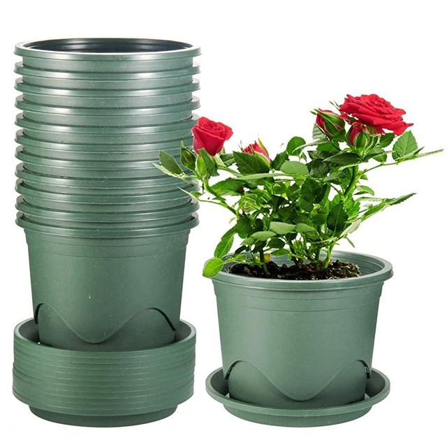 Plastic Pots for Plants, ZOUTOG 6.3 Inch Small Pots for Plants, Nursery Pots with Drainage Hole and Tray, Pack of 12, Plants not Included