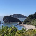 Harris Beach State Park