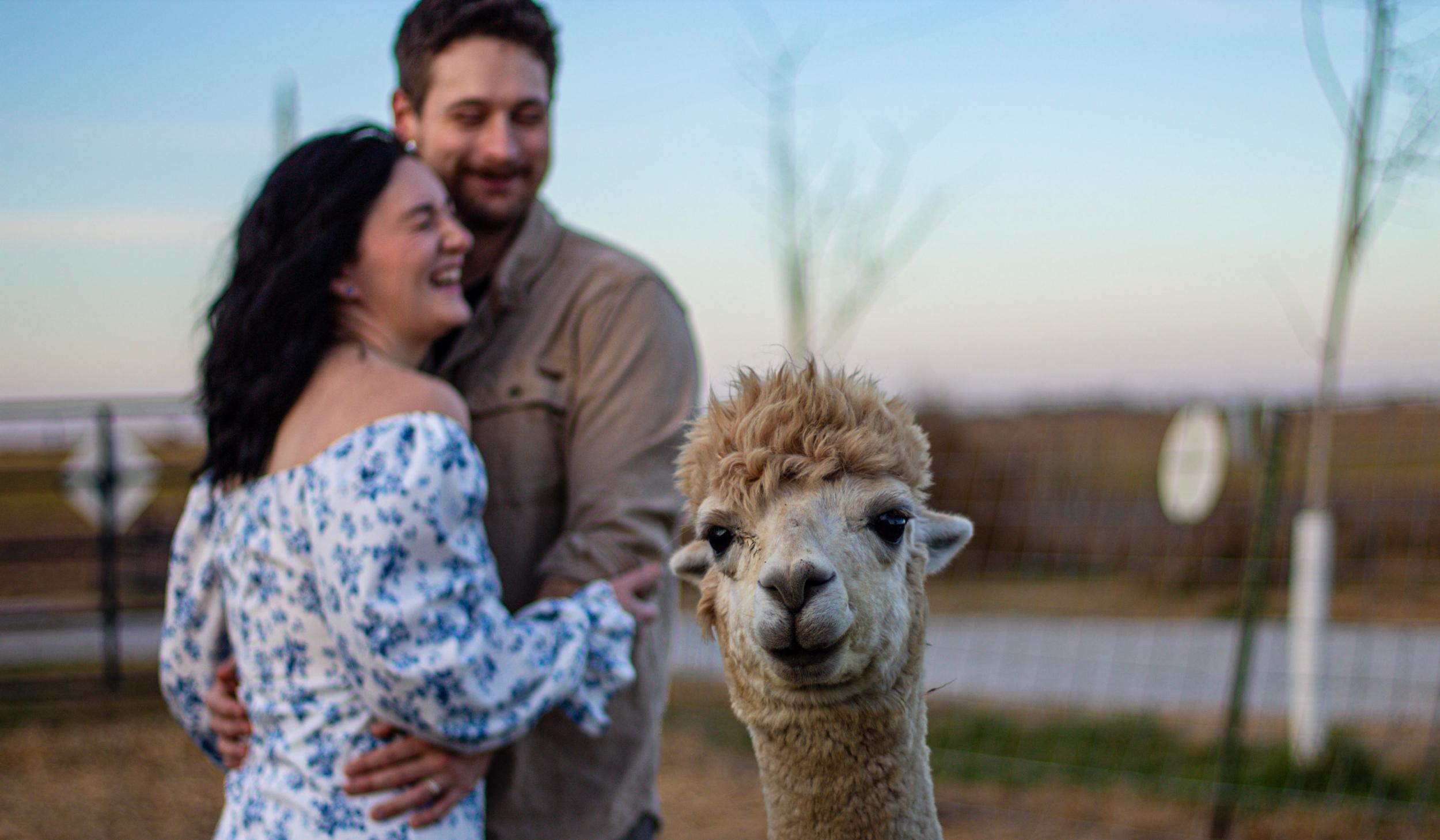 The Wedding Website of Marshal Rutledge and Maria Goddard