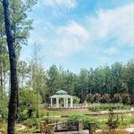 Longview Arboretum and Nature Center