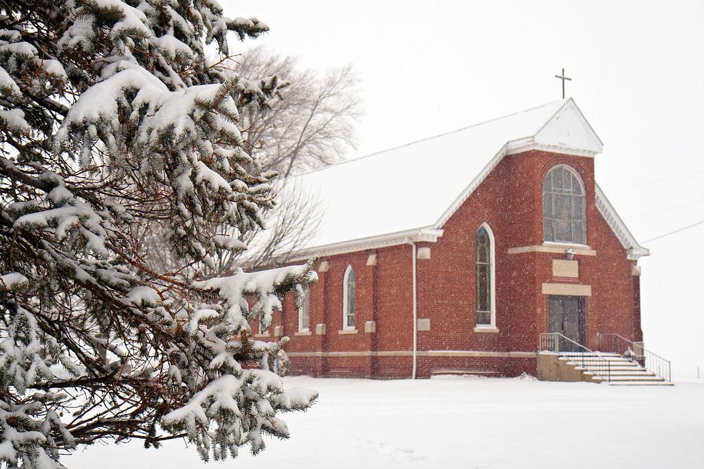 The Wedding Website of Morgan Daly and John Zeman