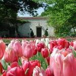 The Dallas Arboretum and Botanical Garden