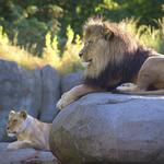 Oregon Zoo