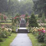 International Rose Test Garden