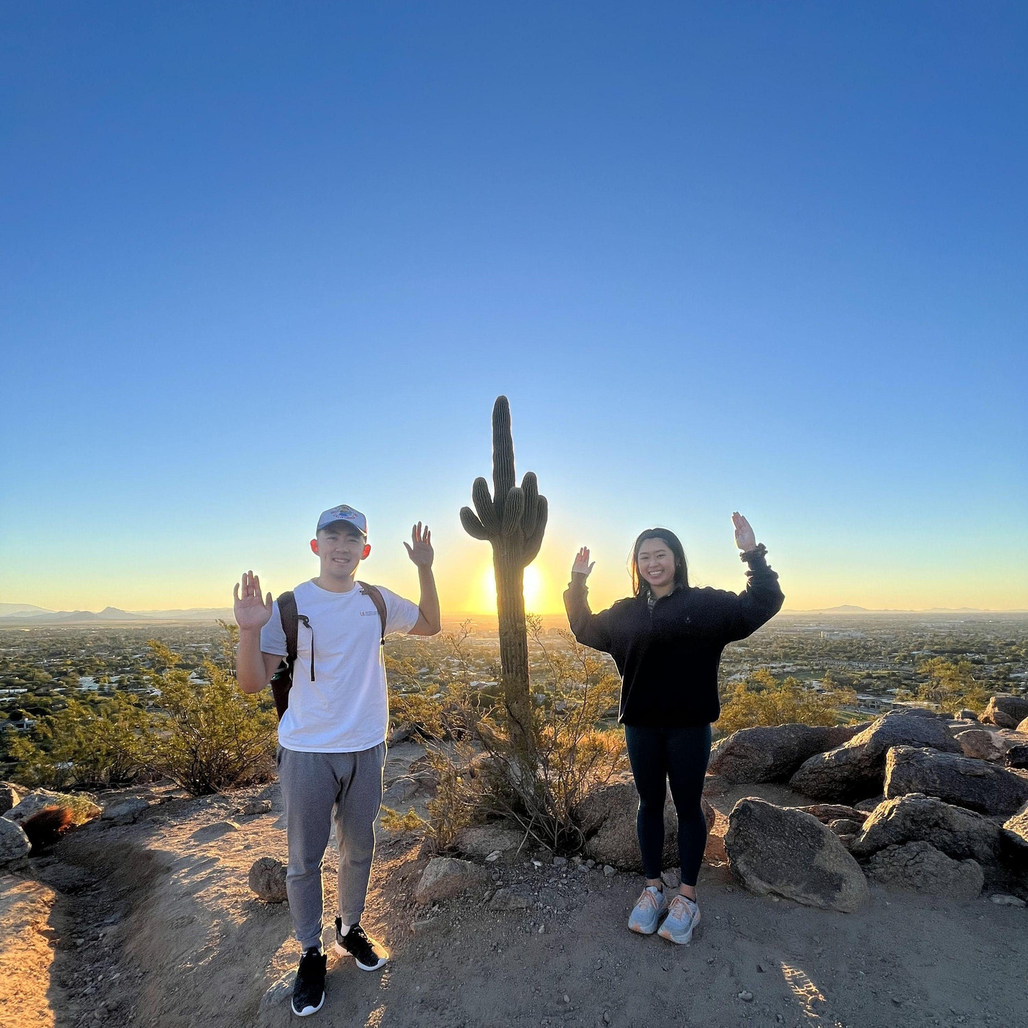 I spy 3 cacti