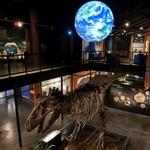 Houston Museum of Natural Science