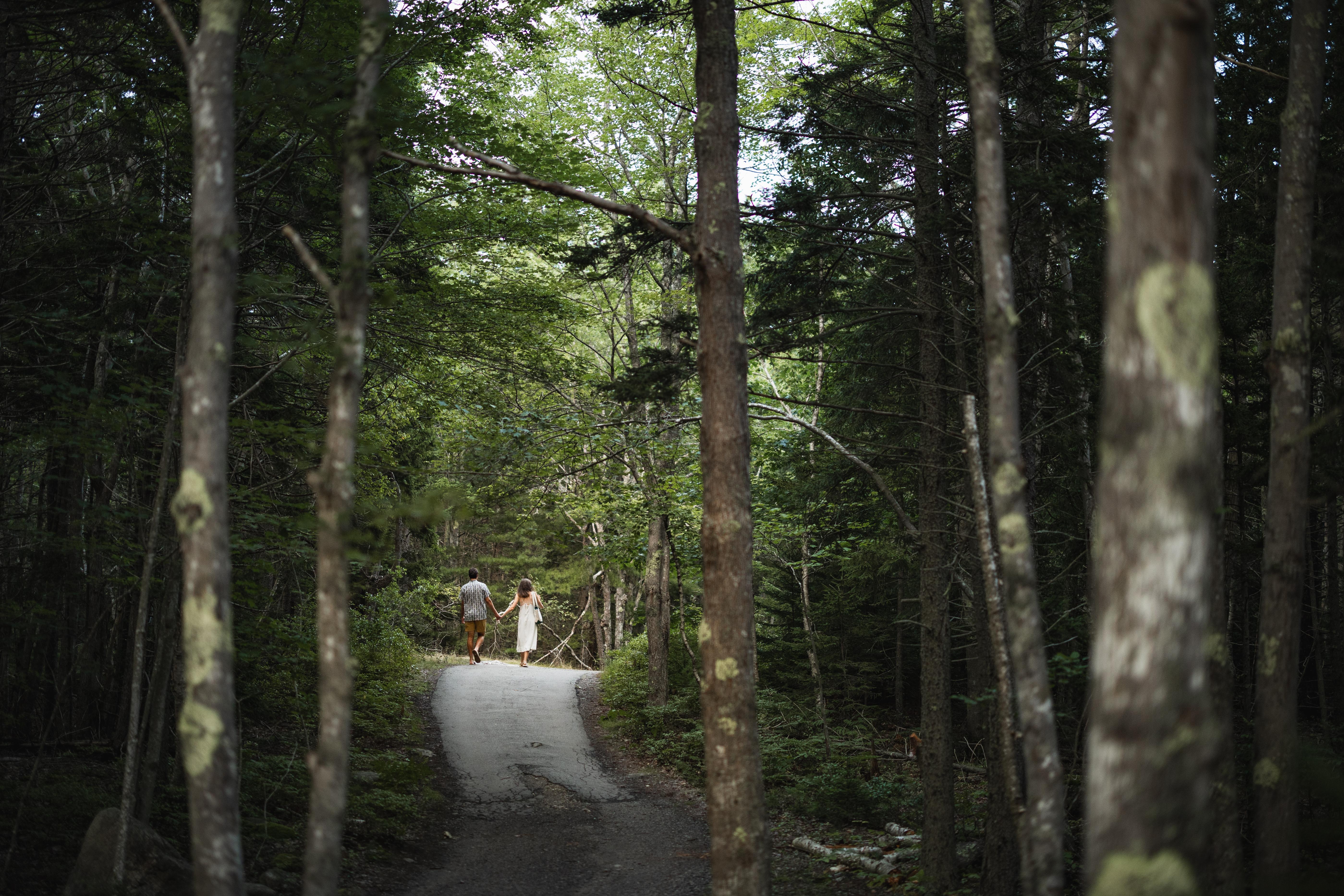 The Wedding Website of Aidan Sachs and Cameron Marco