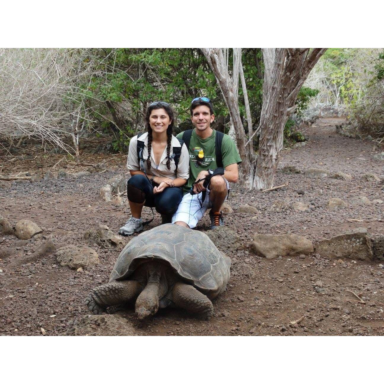 Our first trip together, in the Galapagos Islands! We visited a conservation center for the Galapagos tortoise and took a photo with one of tortoises.