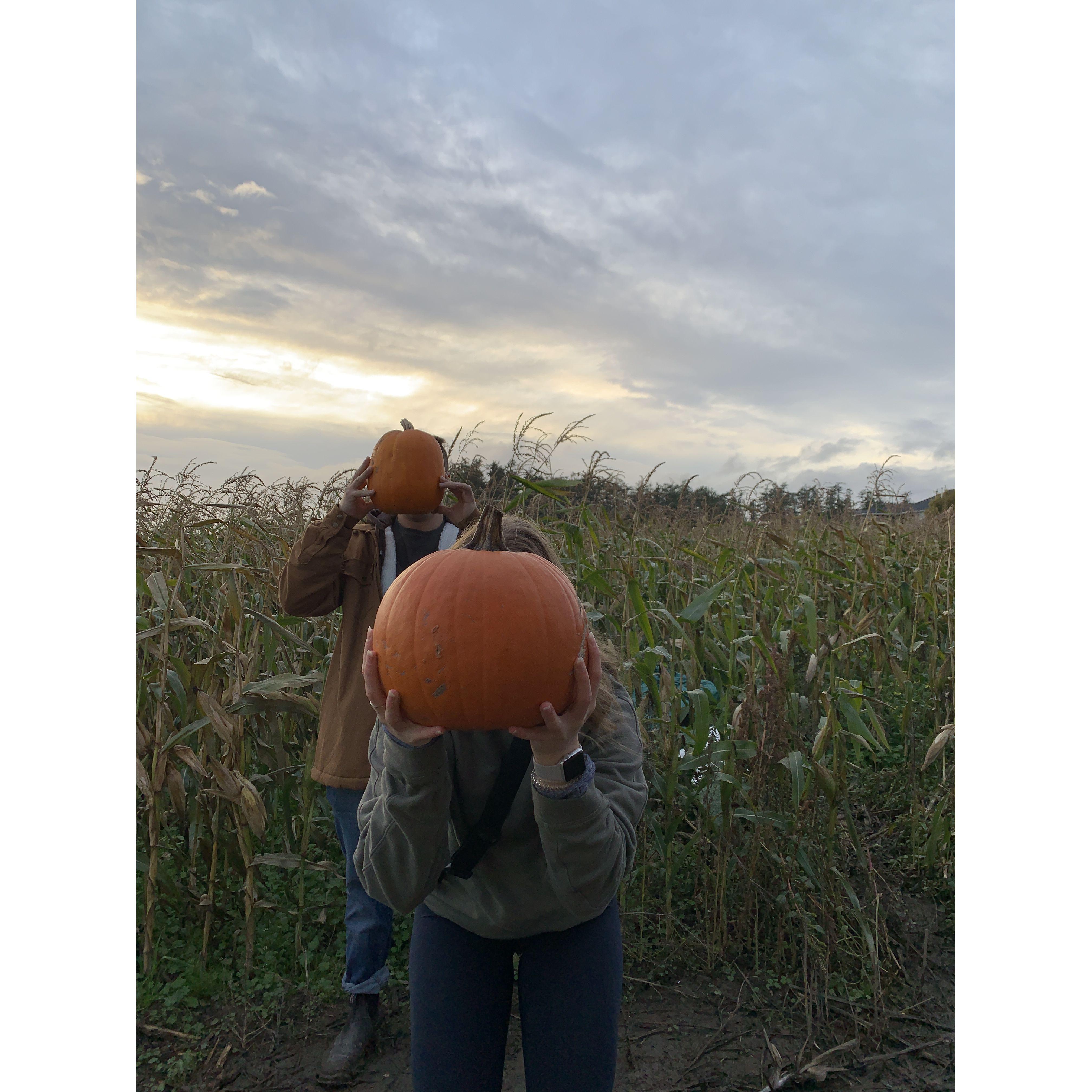 Pumpkin Patch - 2021