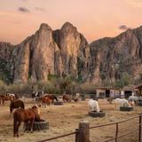 Saguaro Lake Ranch Stables