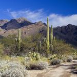 Sabino Canyon Recreation Area