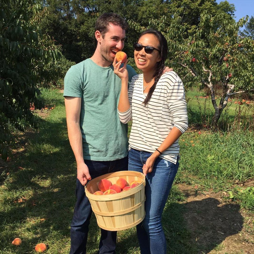Peach picking in Michigan