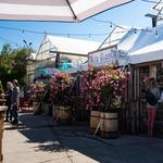 Horrocks Farm Market