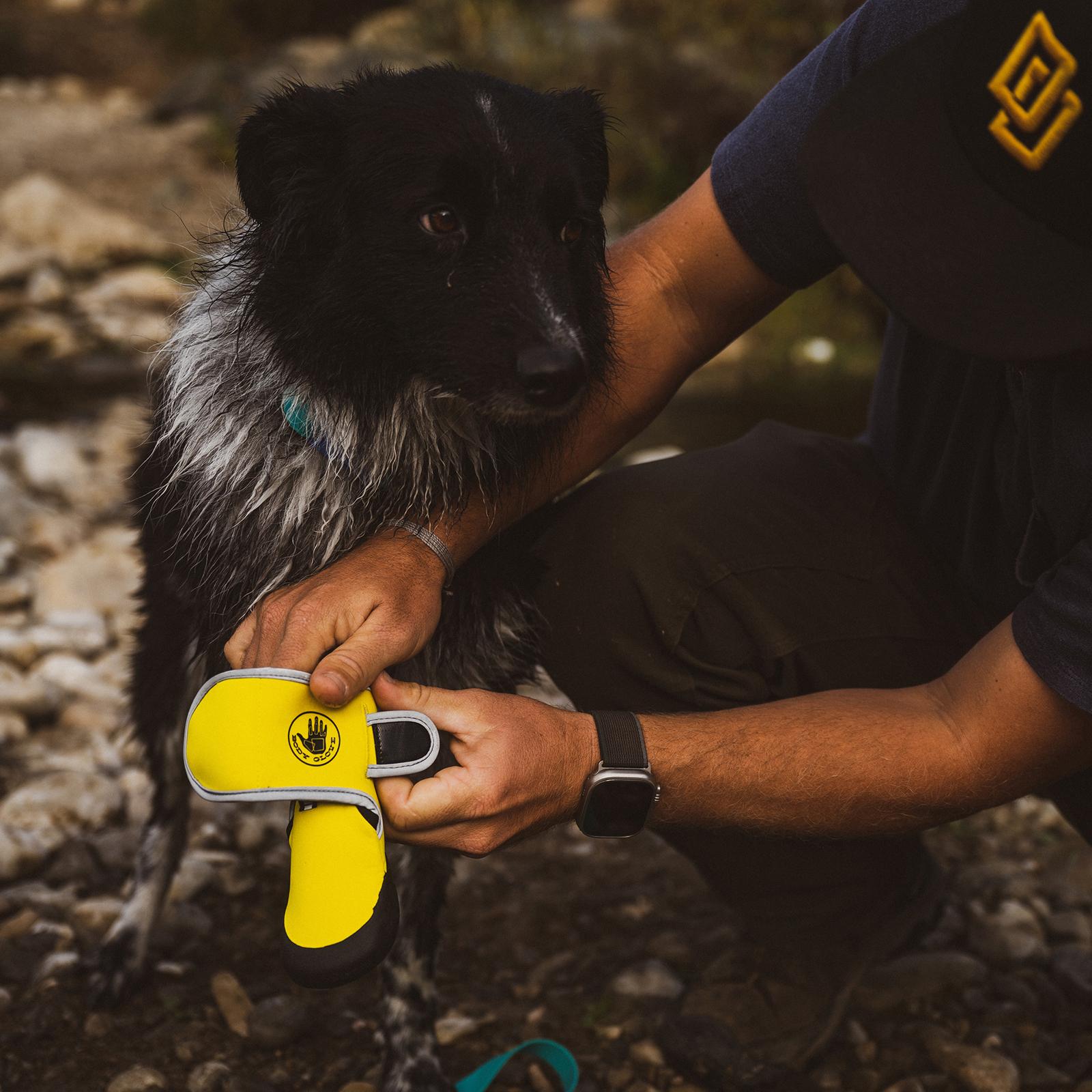 Pendleton Pet, Body Glove Paw Protector Booties | Zola