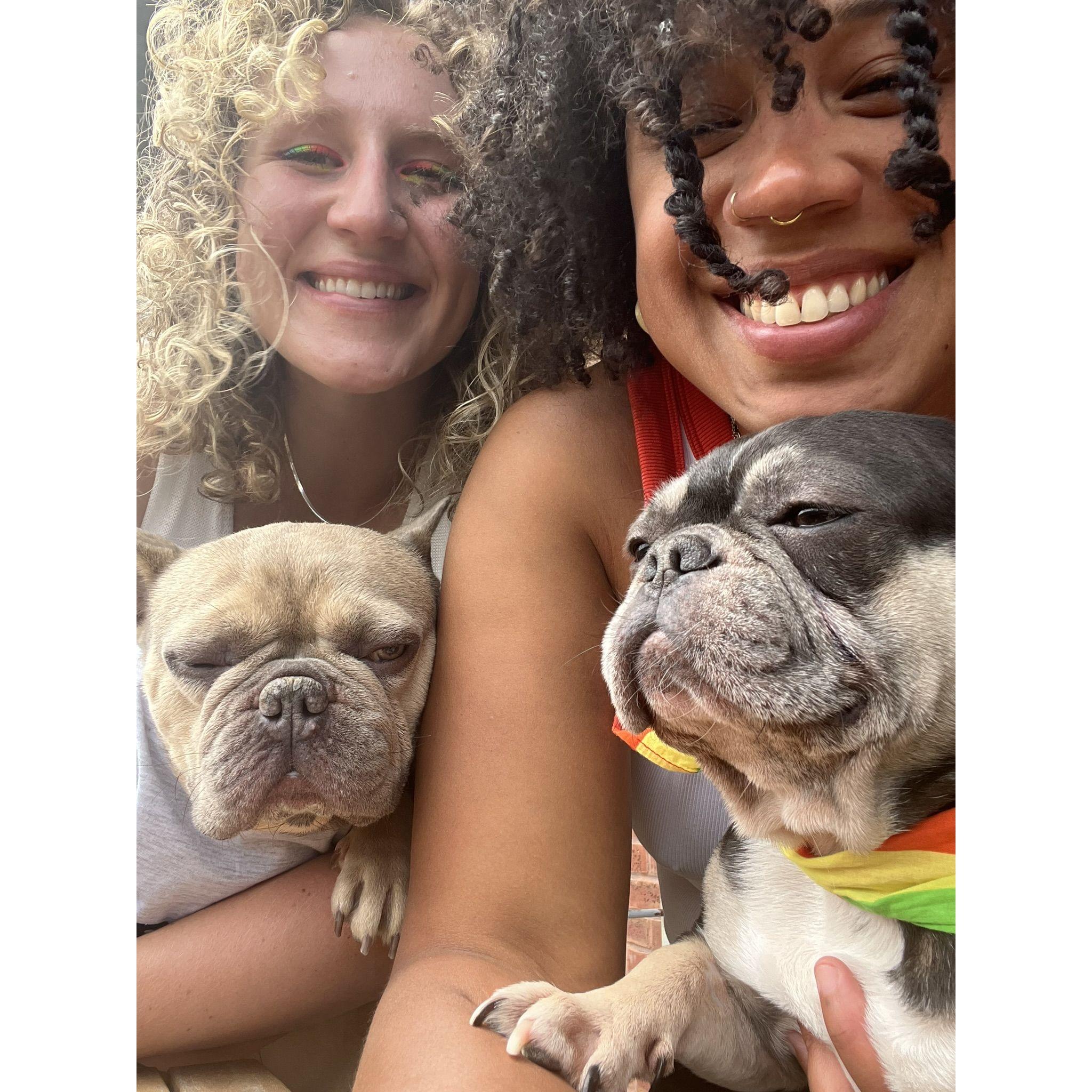 Celebrating Pride in Chicago with our two pups, Jacques and Perry.
