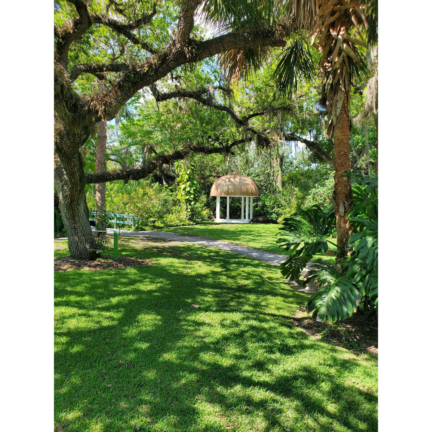 The gazebo at where Tim and Amanda will be married at Shangri-La Springs, Bonita Springs, FL.