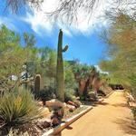 Springs Preserve