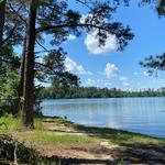 Clarks Hill Lake