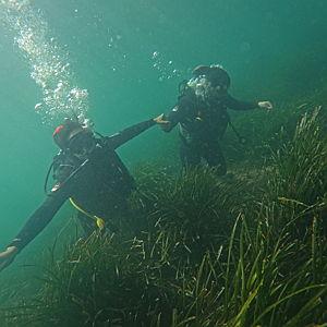 Clases de Buceo/Scuba Diving course