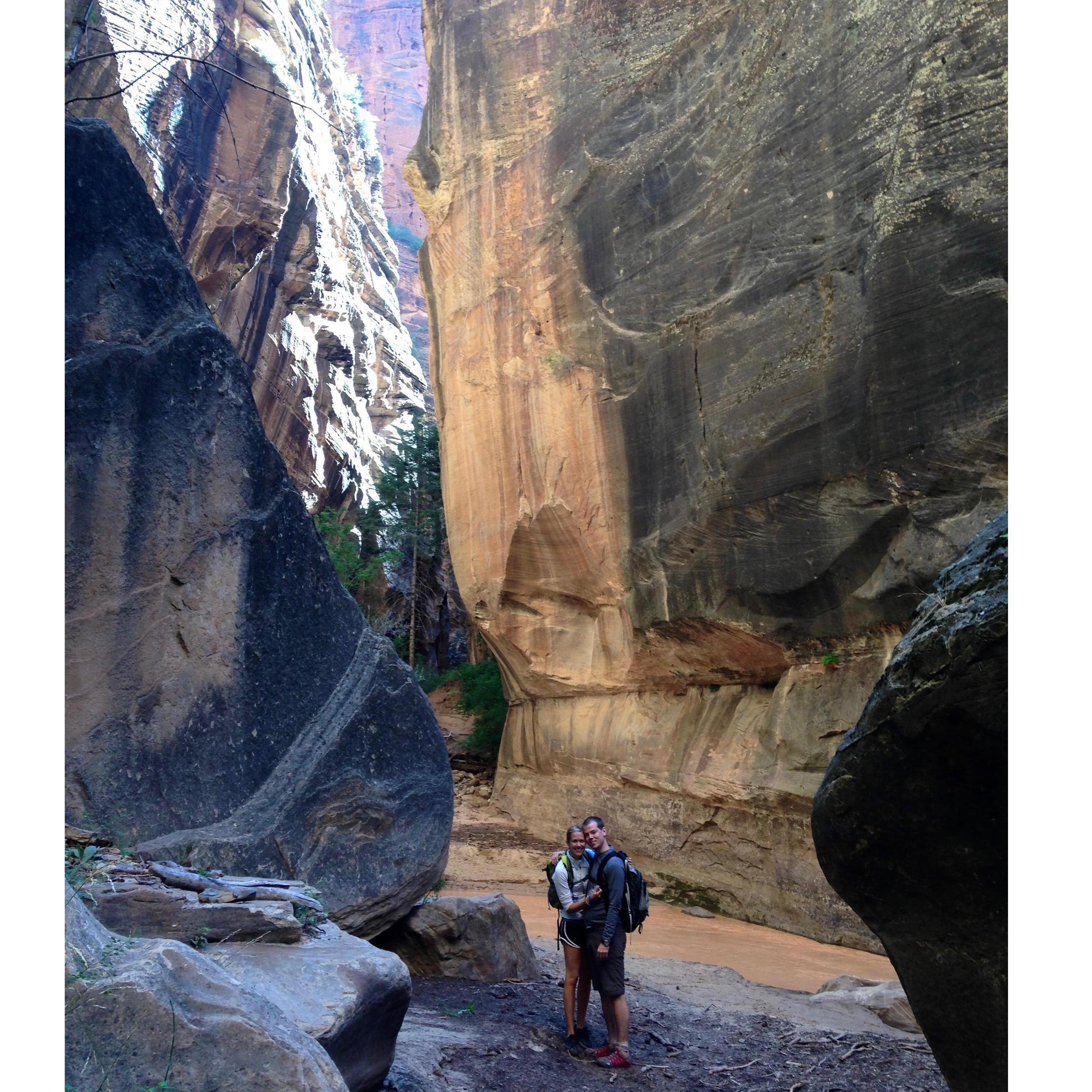 Zion National Park, 2013