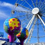 Paradise Pier Fun Park