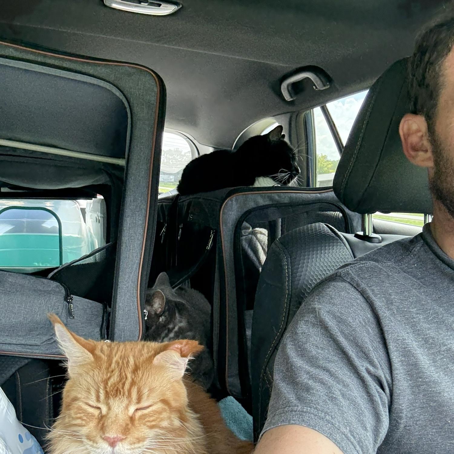 Vince car during the cross country move, with all the cats