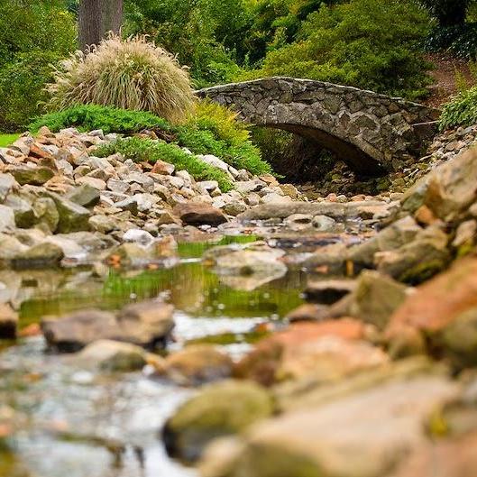 She said yes! - Rock Quarry Garden