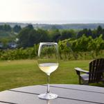 Traverse City Wineries