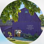 Closson Chase Vineyards