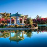 Forest Park