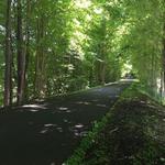Hudson Valley Rail Trail
