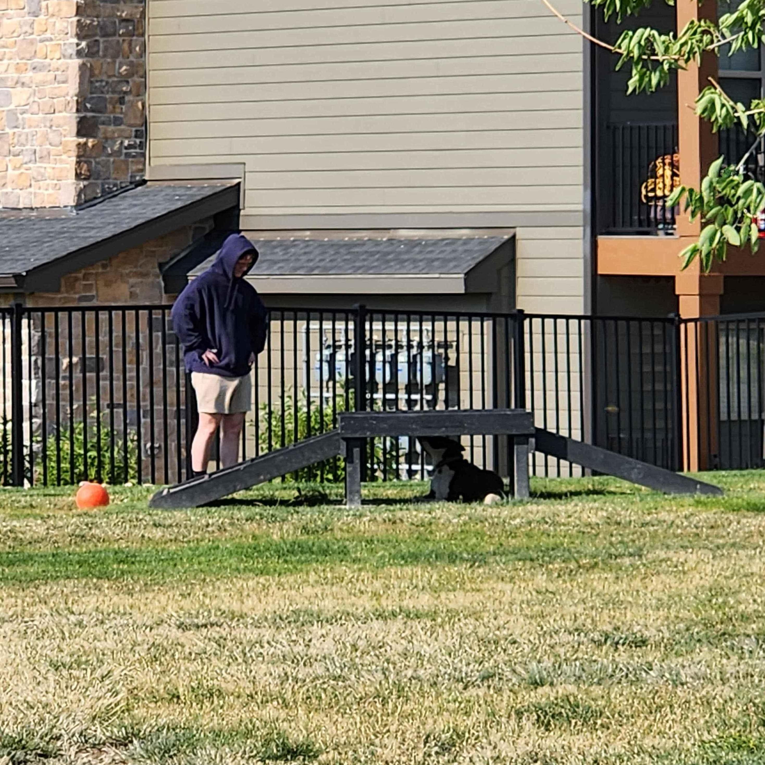 You know they're the one when they love the dog just as much as you do