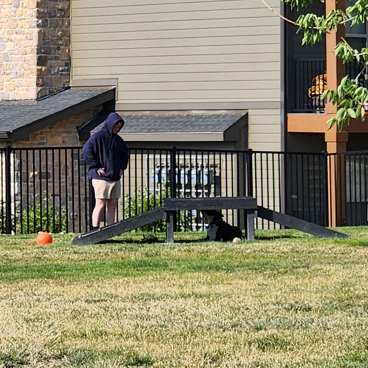 You know they're the one when they love the dog just as much as you do