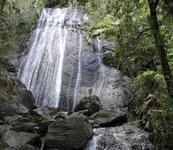 El Yunque National Forest