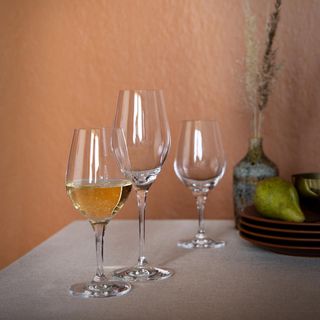 Sense Universal Wine Glass, Set of 6