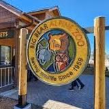 Big Bear Alpine Zoo