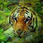 Jacksonville Zoo
