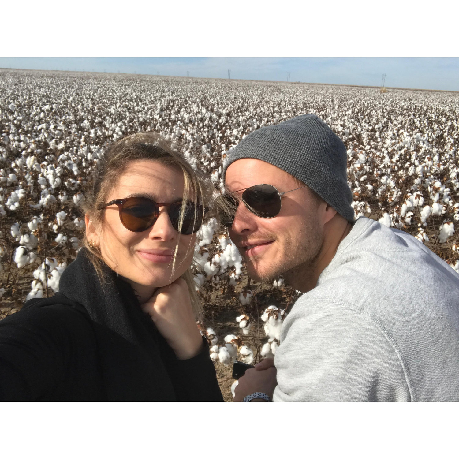 Texas cotton Fields