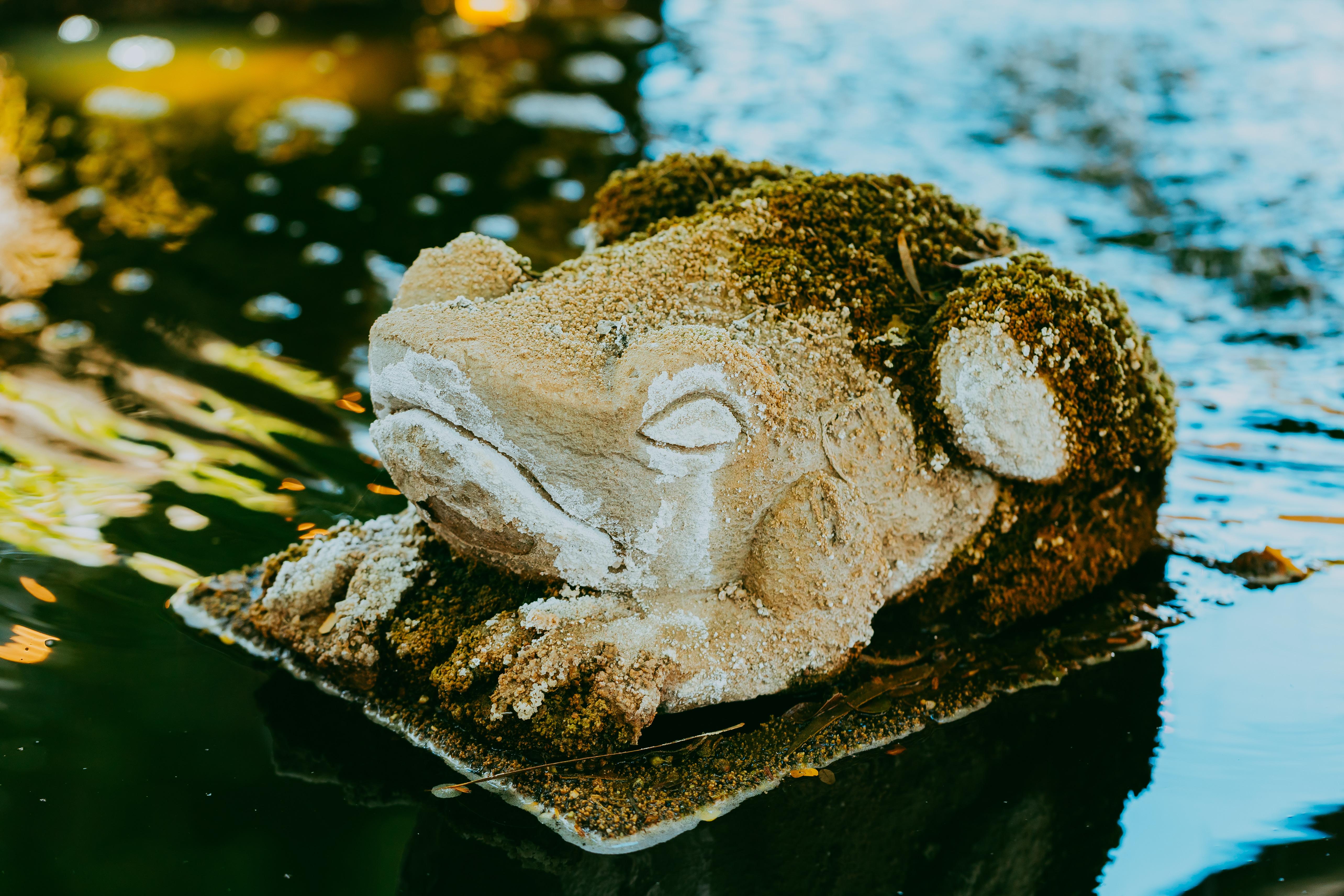 The Wedding Website of Mackenzie Marchello and Sawyer Eschliman