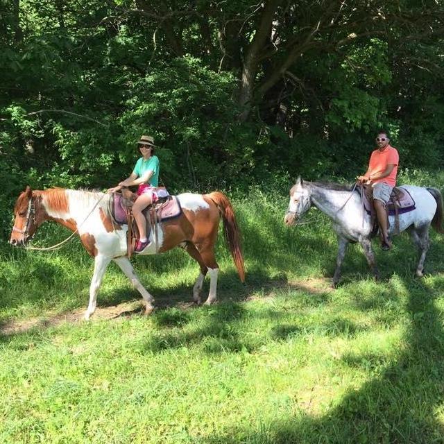 Vish loves riding horses and I decided to give it a try on our 3rd year Anniversary.