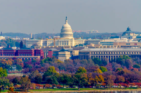 The Wedding Website of Connor Donevan and Francesca Ashley Gibson