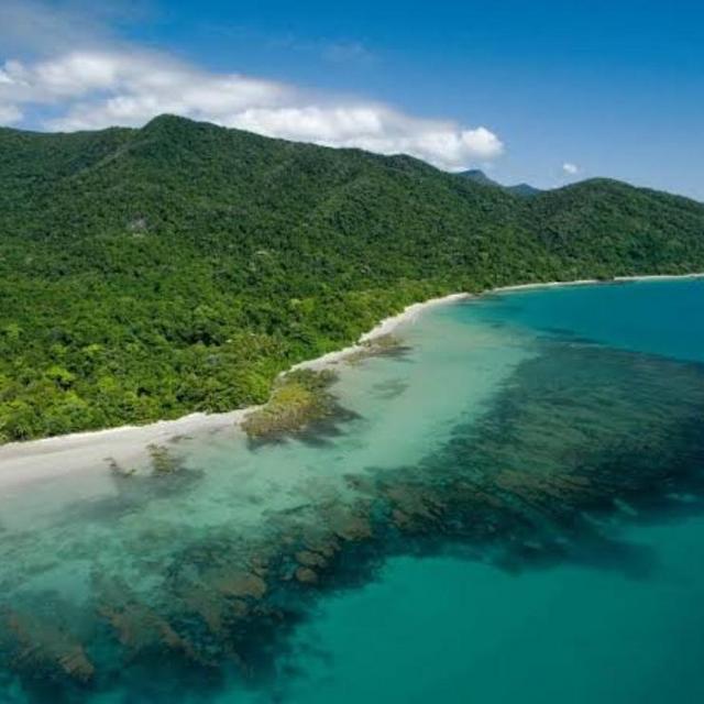 Daintree Rainforest Safari