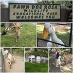 FAWN-DOE-ROSA Wildlife Educational Park
