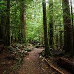 Rock Creek Trail Exercise Course