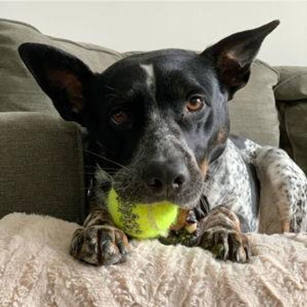 Jack's treat fund
