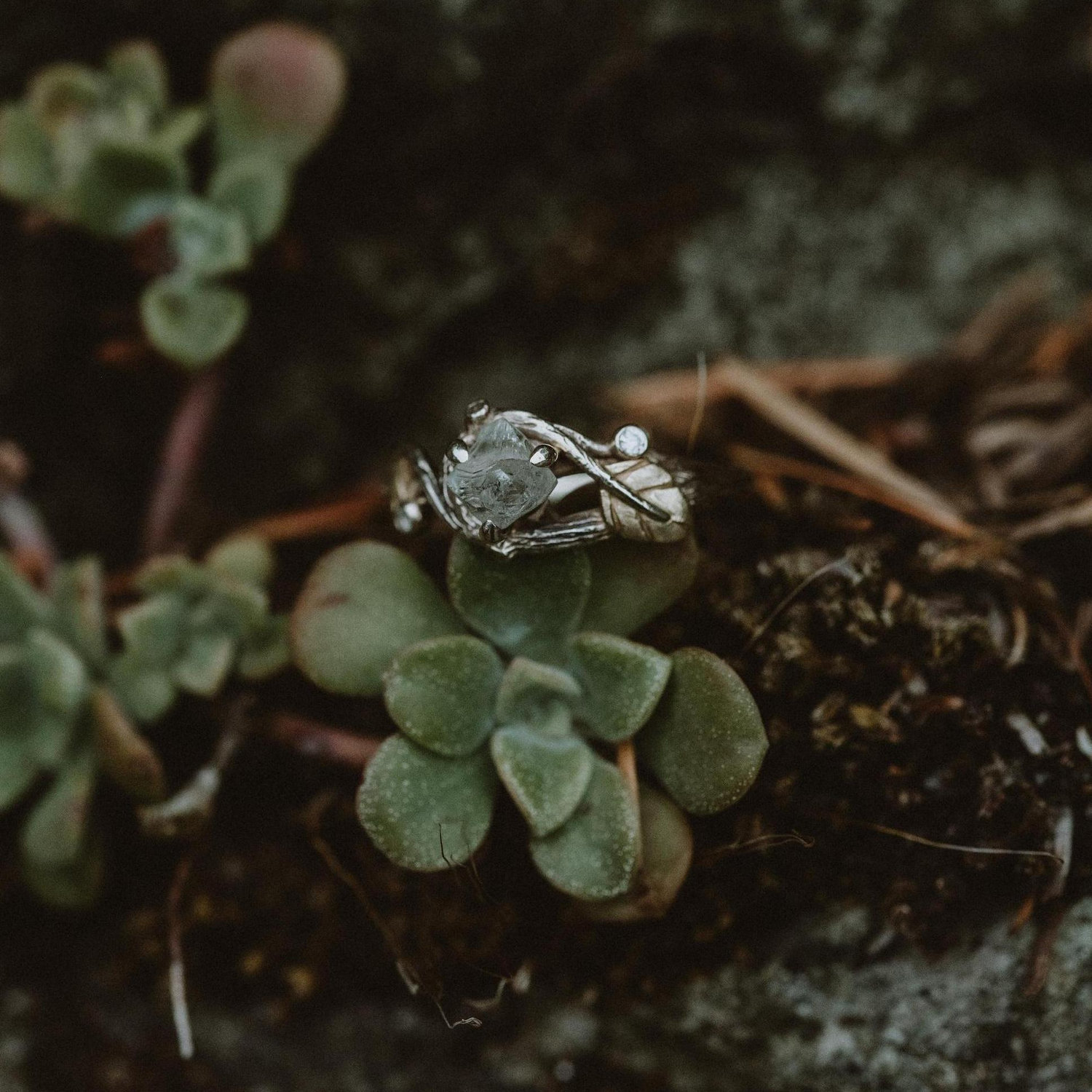 The ring!