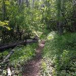 Columbine Campground